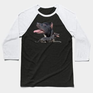 American Pit Bull Terrier Baseball T-Shirt